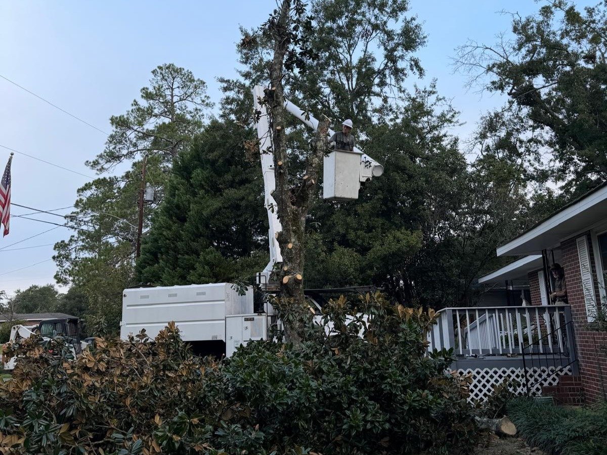 El Costeño Tree Service LLC